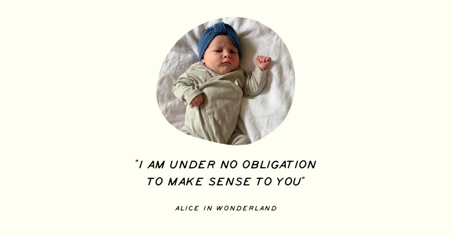 Alice In Wonderland I Am Under No Obligation To Make Sense To You